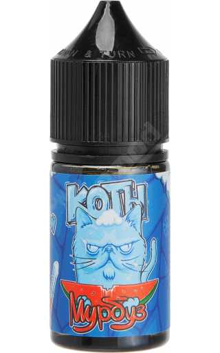 Коты Ice SALT - Мурбуз 30мл