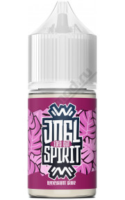 JNGL Spirit Iced Out SALT - Blackcurrant Grape 30мл