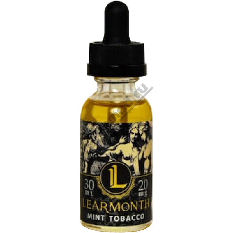 Фото и внешний вид — Learmonth Tobacco SALT - Mint 30мл