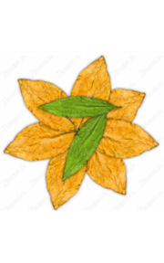 Revanche 7 Leaves 10мл