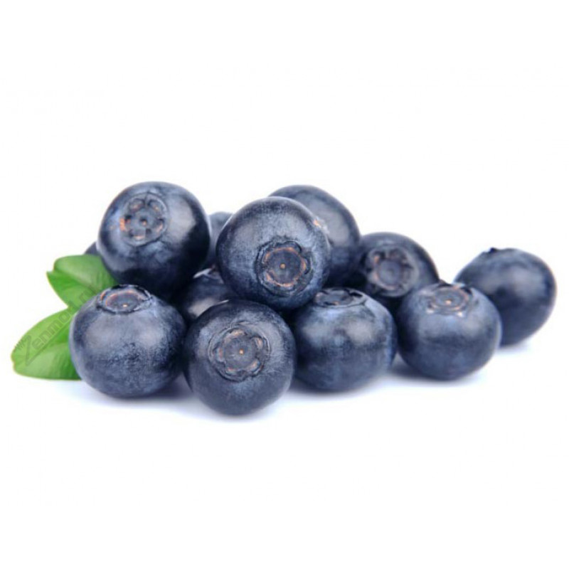 Фото и внешний вид — TPA - Blueberry Wild 10мл