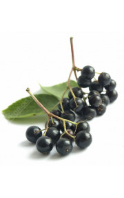 TPA - Elderberry 10мл