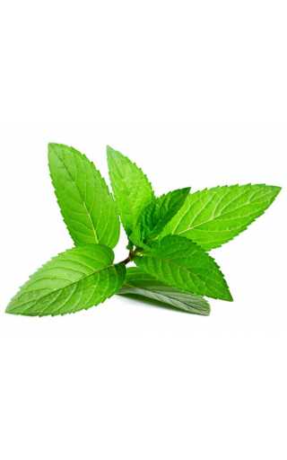 TPA - Peppermint 10мл