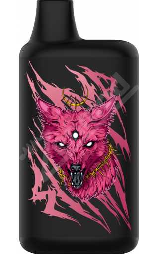 DOCTOR GRIMES 5000 - SINISTER 2